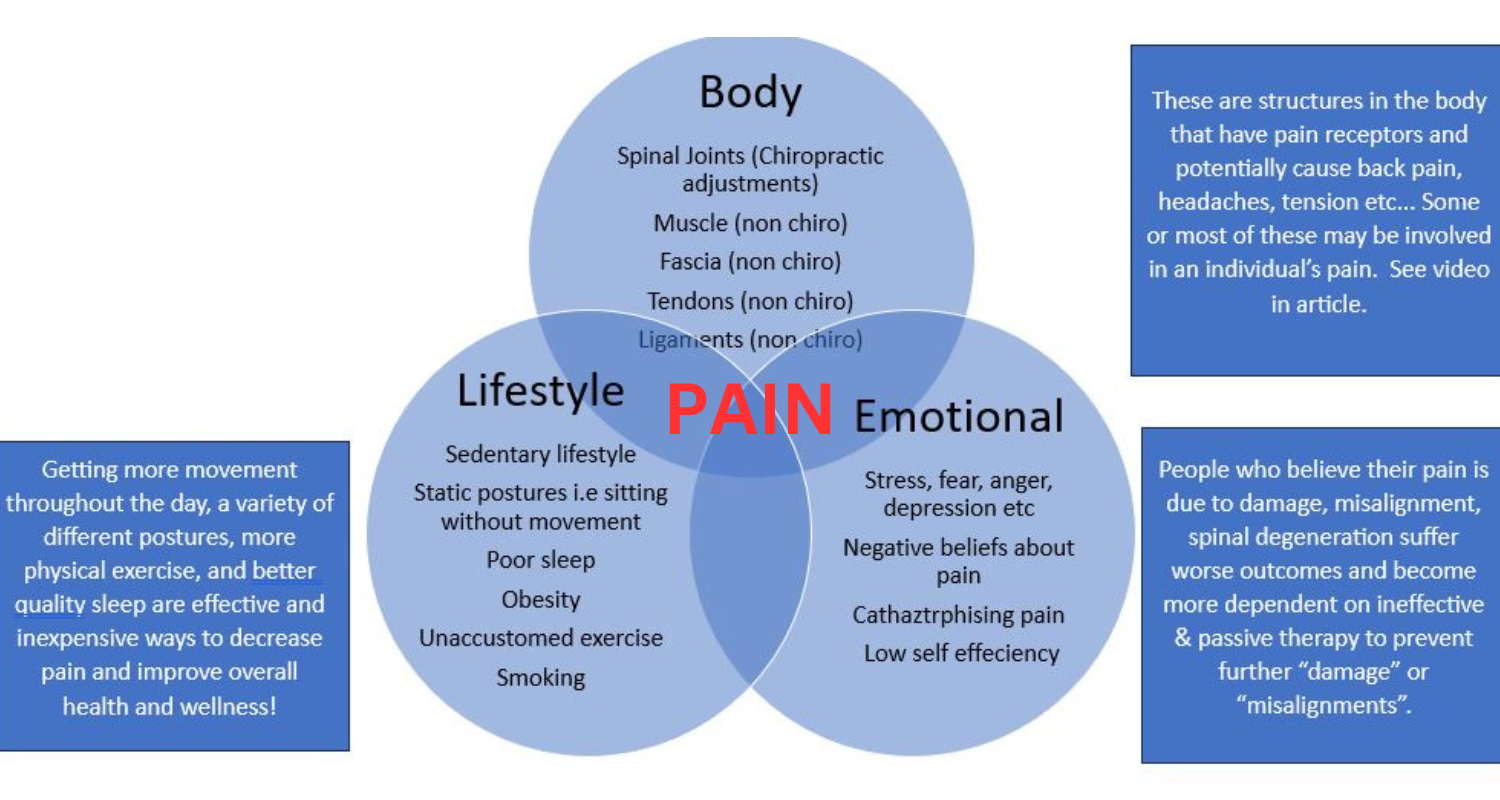 PAIN Venn Canva