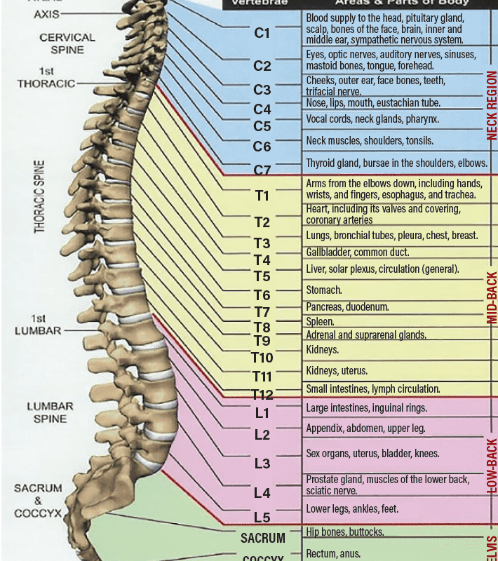 Subluxations