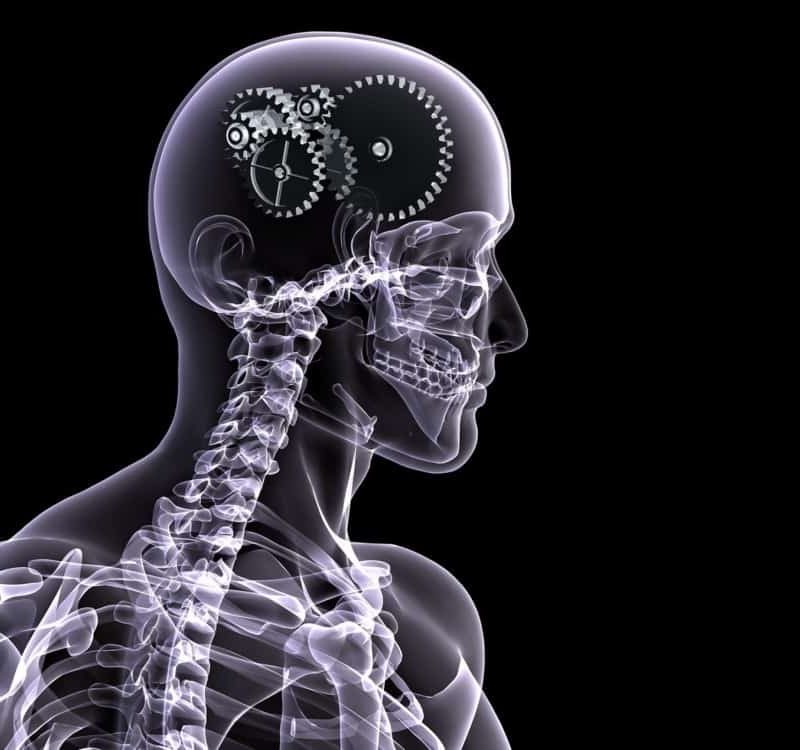 Skulls Anatomy Gears Brain Ske 2560x1600 Artwallpaperhi.com 1 E14275917381472